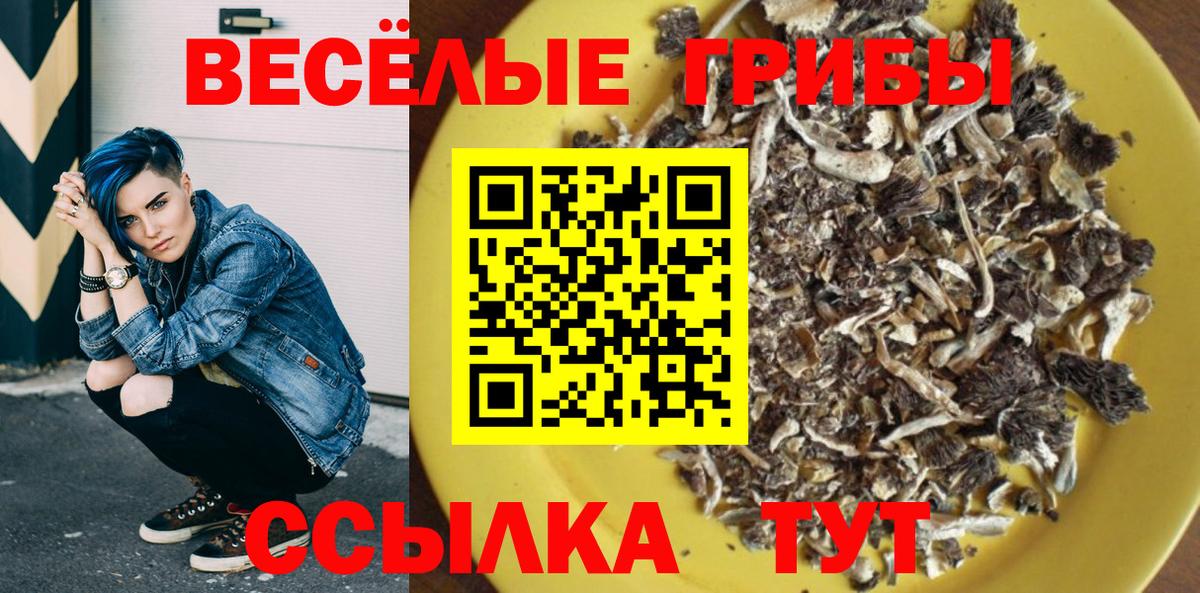 Галлюциногенные грибы GOLDEN TEACHER  Вход с VPN  цены   Галлюциногенные грибы мицелий  Артём 