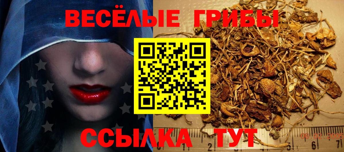 Псилоцибиновые грибы мицелий Артём